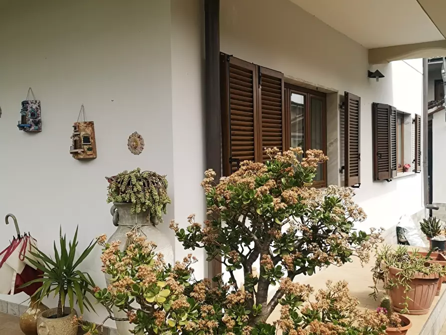 Immagine 27 di Villa in vendita  a Massa