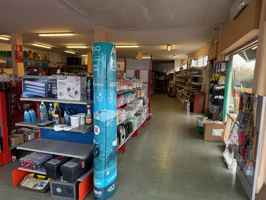 Immagine 11 di Capannone industriale in vendita  a Castelnuovo Magra