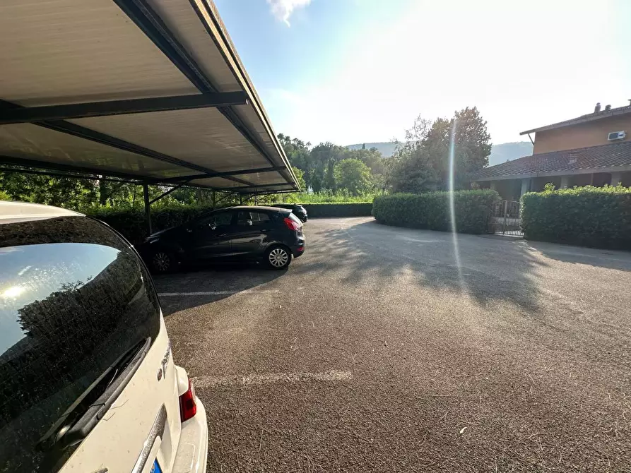 Immagine 24 di Appartamento in vendita  a Ameglia