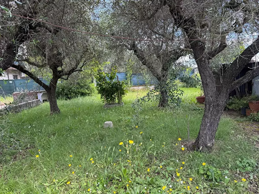 Immagine 12 di Terratetto in vendita  a Ortonovo