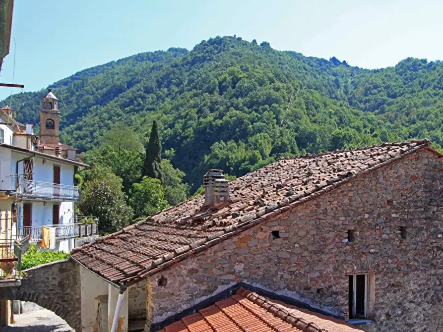 Immagine 16 di Terratetto in vendita  a Licciana Nardi
