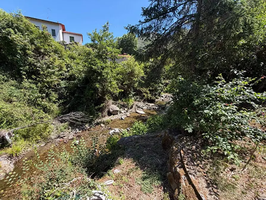 Immagine 28 di Terratetto in vendita  a Ortonovo
