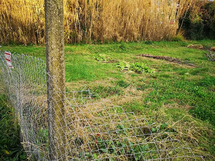 Immagine 3 di Terreno agricolo in vendita  a Castelnuovo Magra