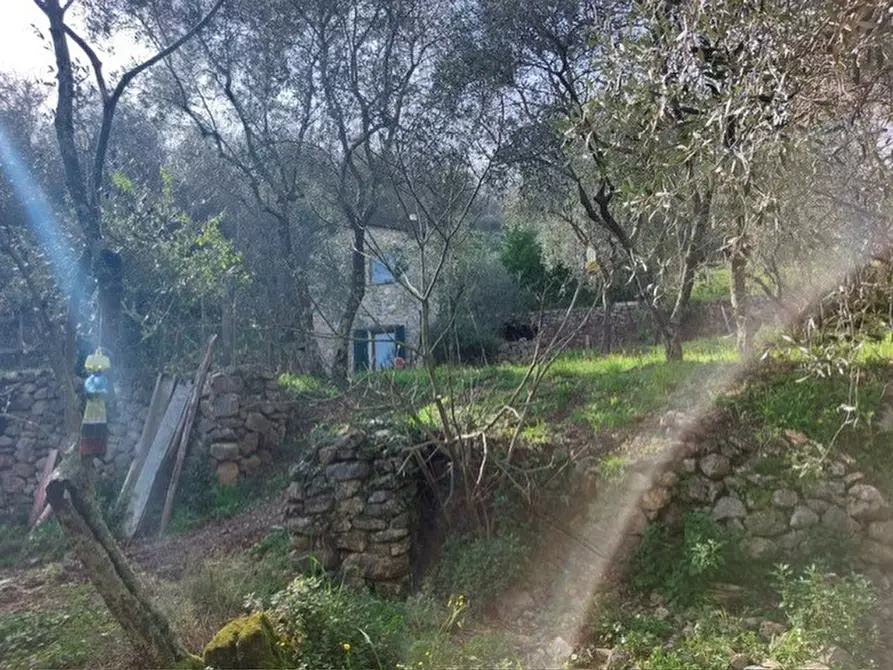 Immagine 17 di Rustico / casale in vendita  a Ameglia