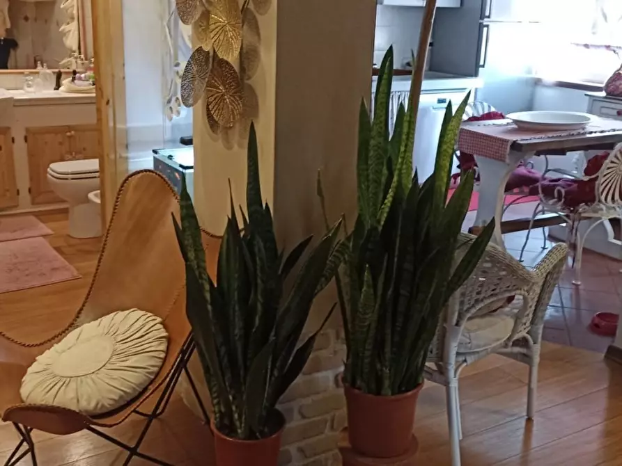 Immagine 2 di Appartamento in vendita  a Carrara