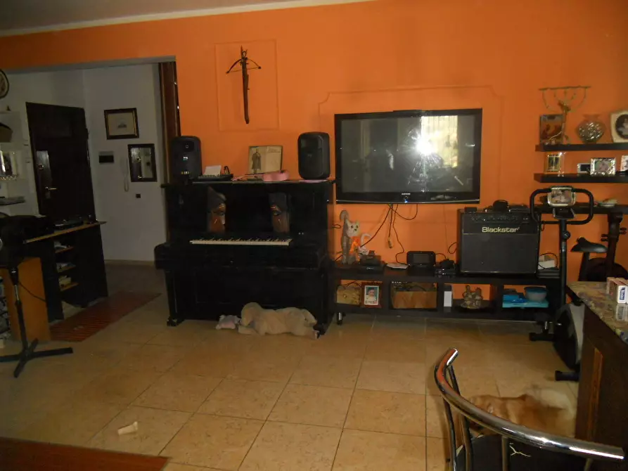 Immagine 27 di Appartamento in vendita  a Castelnuovo Magra