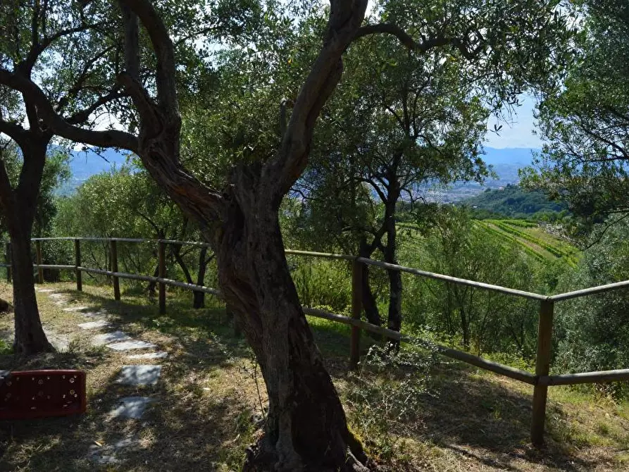 Immagine 21 di Villa in vendita  a Castelnuovo Magra