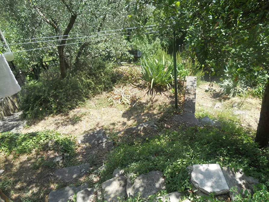 Immagine 15 di Terratetto in vendita  a Ortonovo