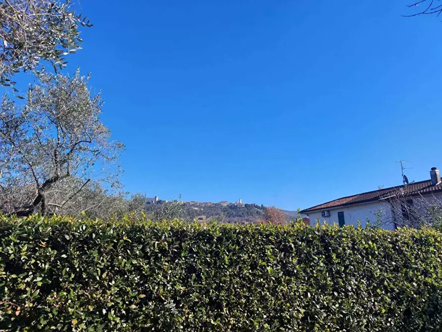 Immagine 55 di Terratetto in vendita  a Castelnuovo Magra