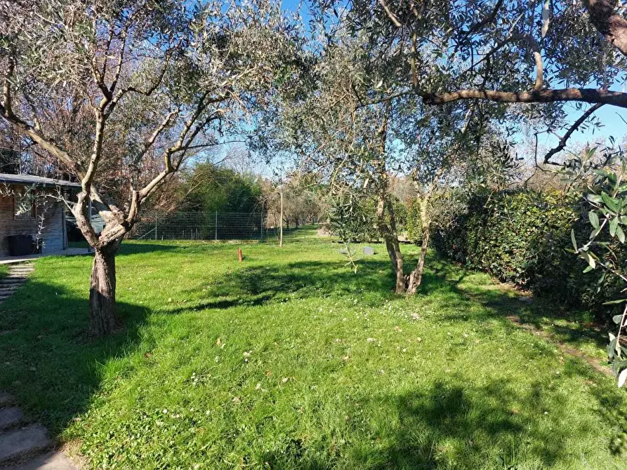 Immagine 54 di Terratetto in vendita  a Castelnuovo Magra
