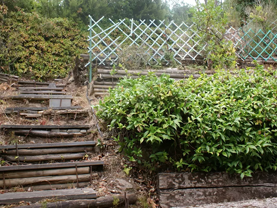 Immagine 2 di Terratetto in vendita  a Ameglia