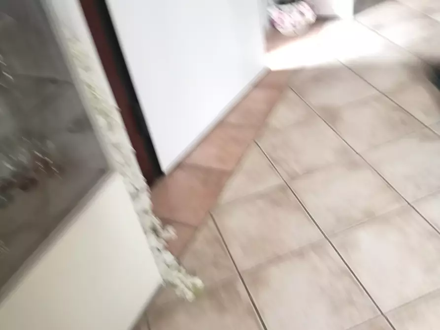 Immagine 25 di Villa in vendita  a Massa