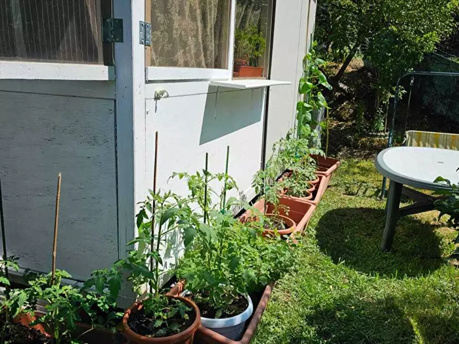 Immagine 4 di Casa indipendente in vendita  a Castelnuovo Magra