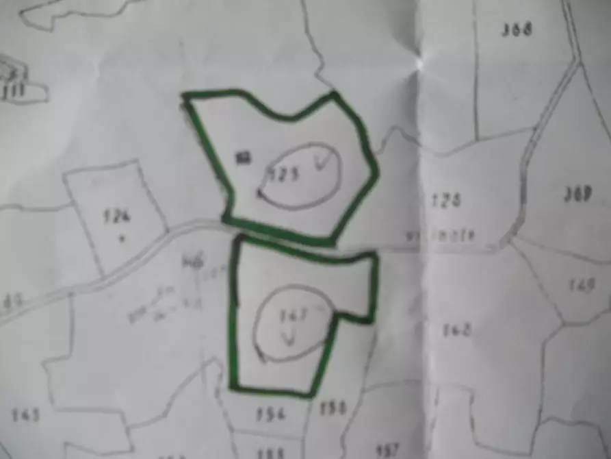 Immagine 2 di Terreno agricolo in vendita  a Castelnuovo Magra