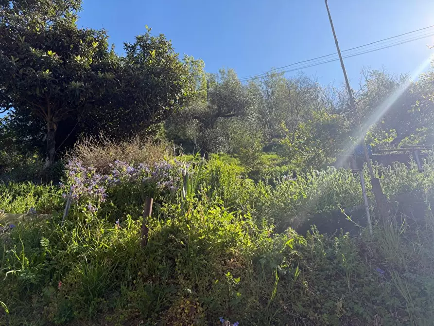 Immagine 6 di Terratetto in vendita  a Ortonovo