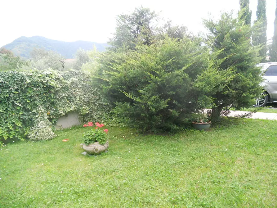 Immagine 6 di Terratetto in vendita  a Ortonovo