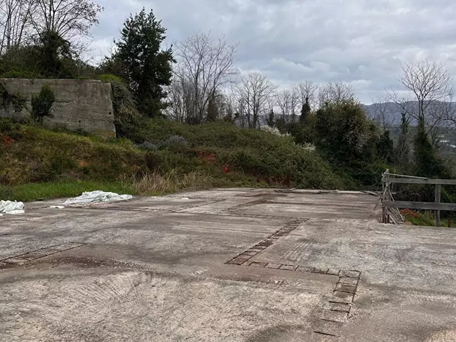 Immagine 6 di Villa in vendita  a Sarzana