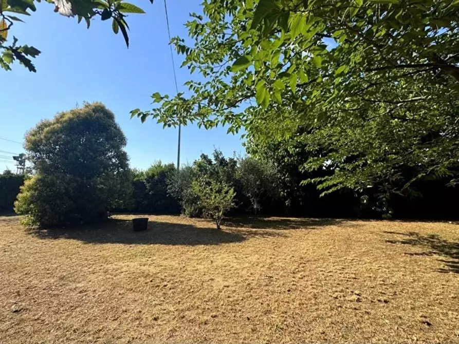 Immagine 35 di Villa in vendita  a Viareggio
