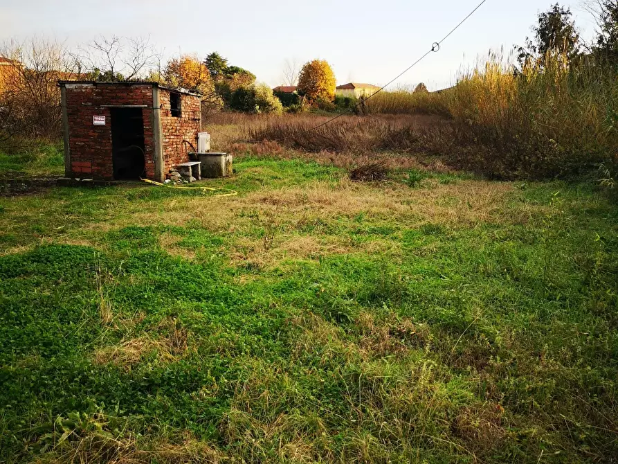 Immagine 2 di Terreno agricolo in vendita  a Castelnuovo Magra