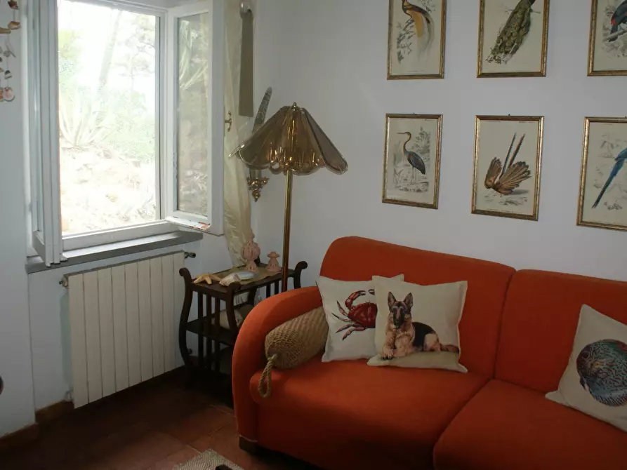 Immagine 6 di Terratetto in vendita  a Ameglia