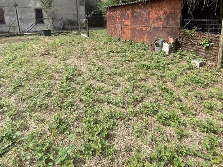 Immagine 6 di Casa indipendente in vendita  a Carrara