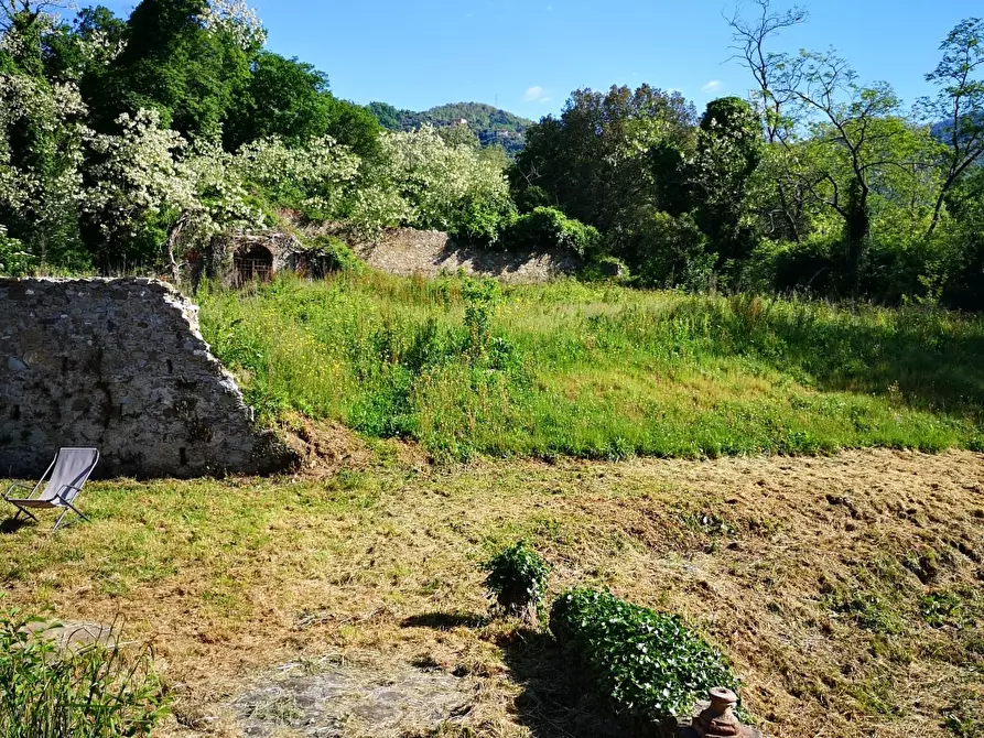 Immagine 46 di Casa colonica in vendita  a Castelnuovo Magra