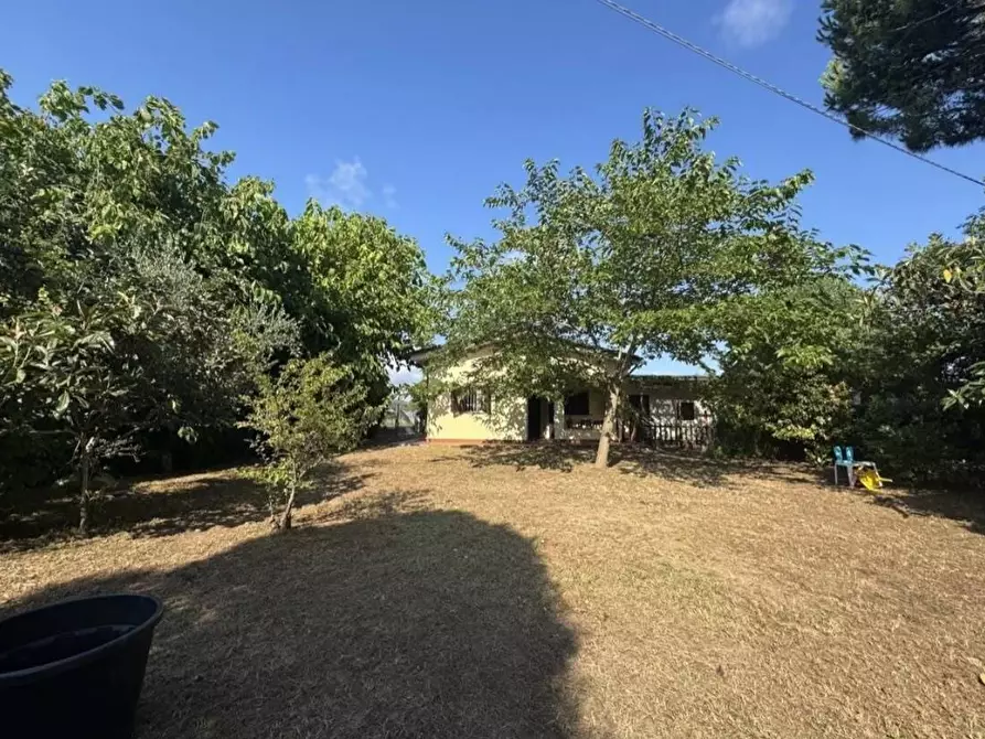 Immagine 39 di Villa in vendita  a Viareggio