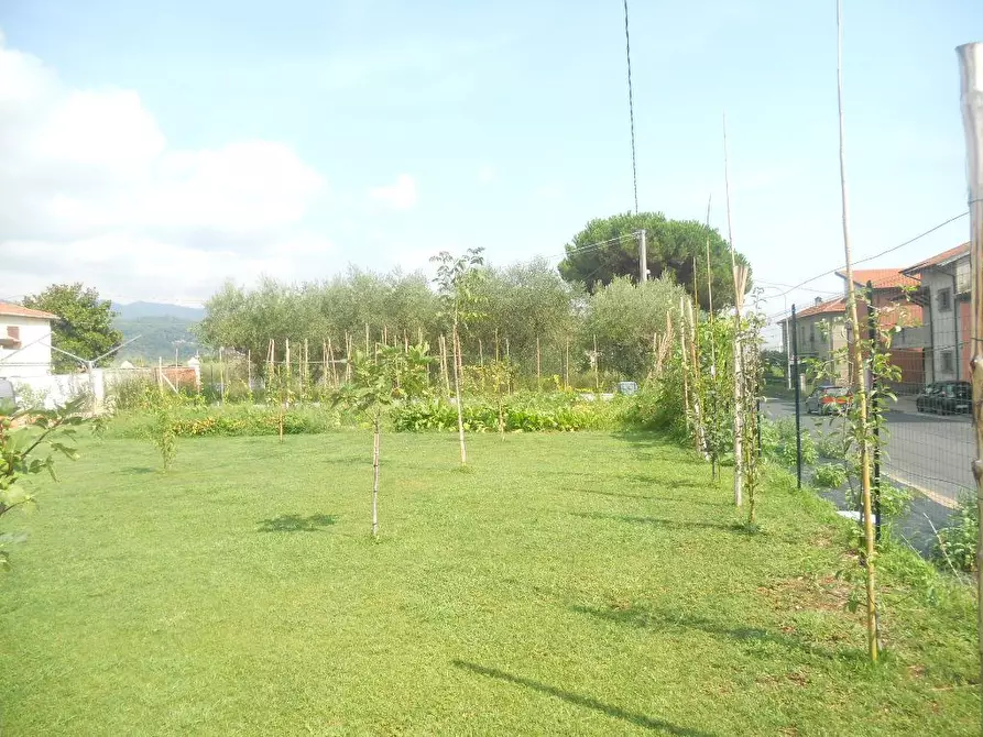 Immagine 9 di Terratetto in vendita  a Castelnuovo Magra