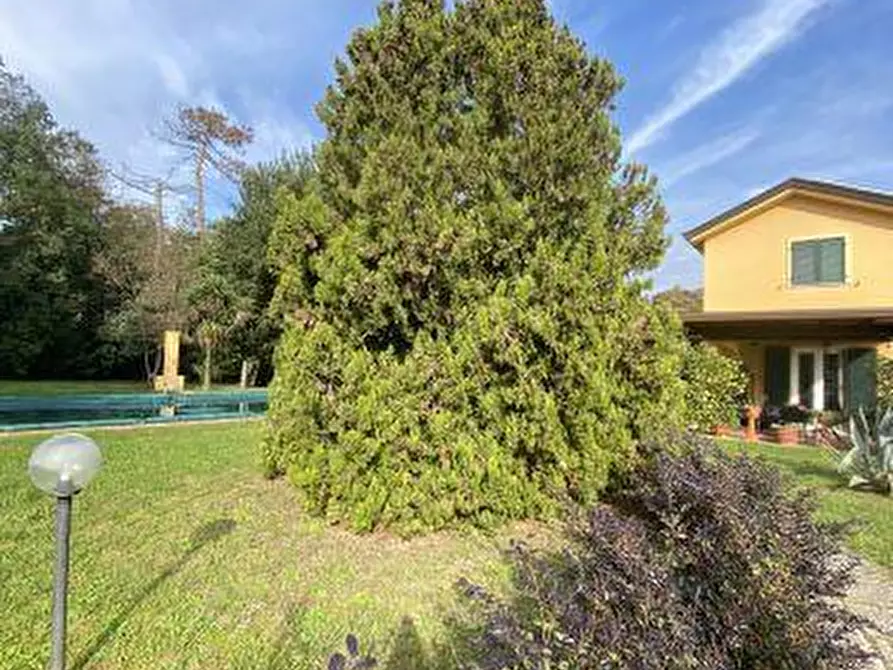 Immagine 3 di Casa indipendente in vendita  a Castelnuovo Magra