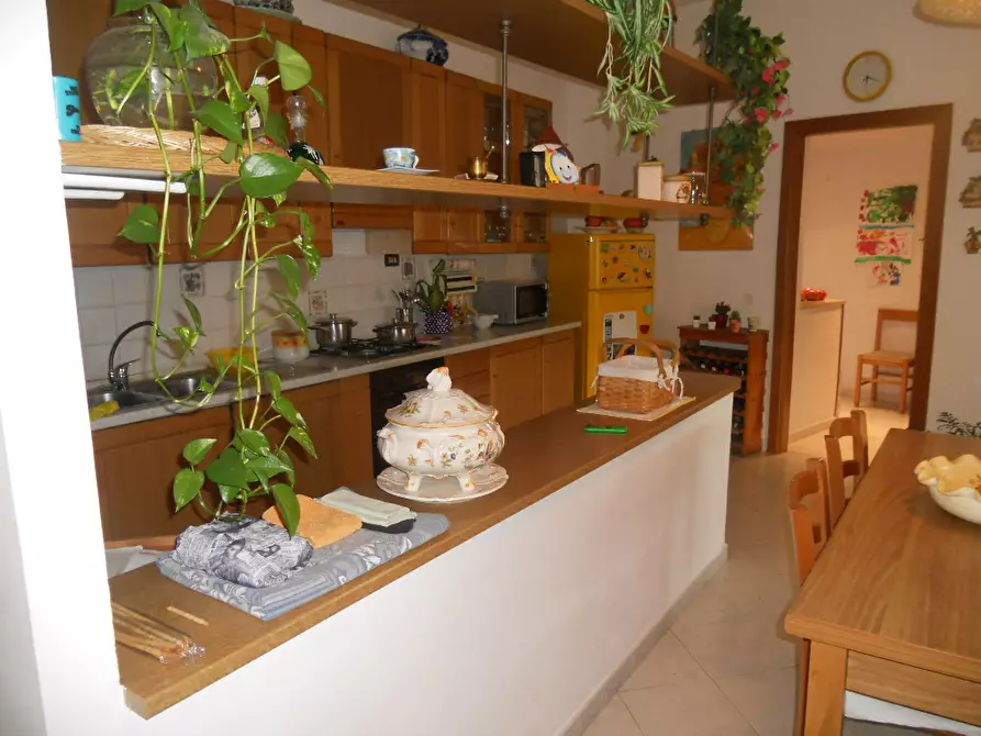 Immagine 11 di Appartamento in vendita  a Castelnuovo Magra