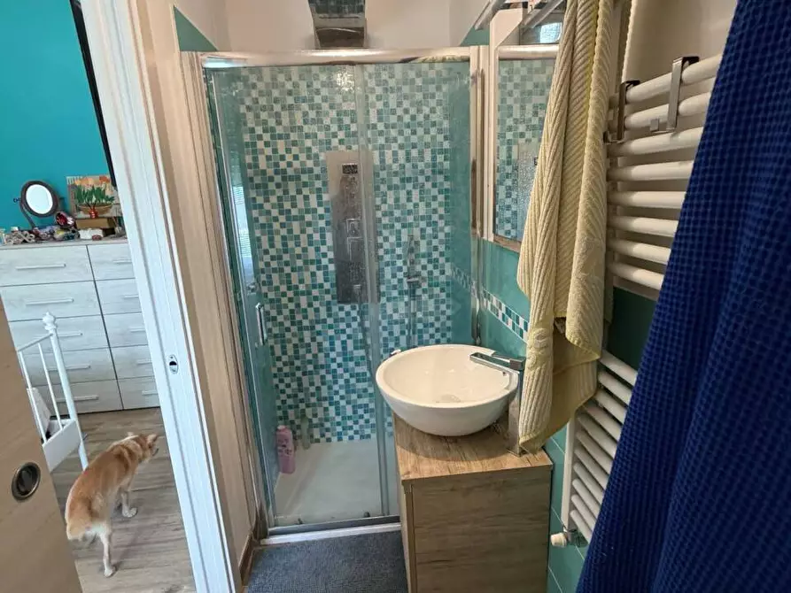Immagine 9 di Appartamento in vendita  a Ortonovo