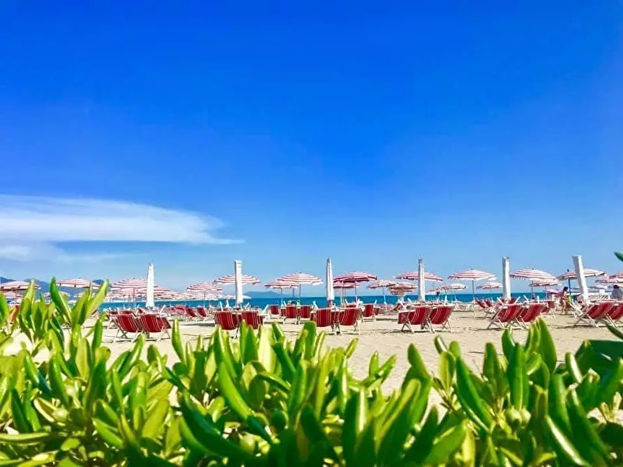 Immagine 6 di Terratetto in vendita  a Ameglia