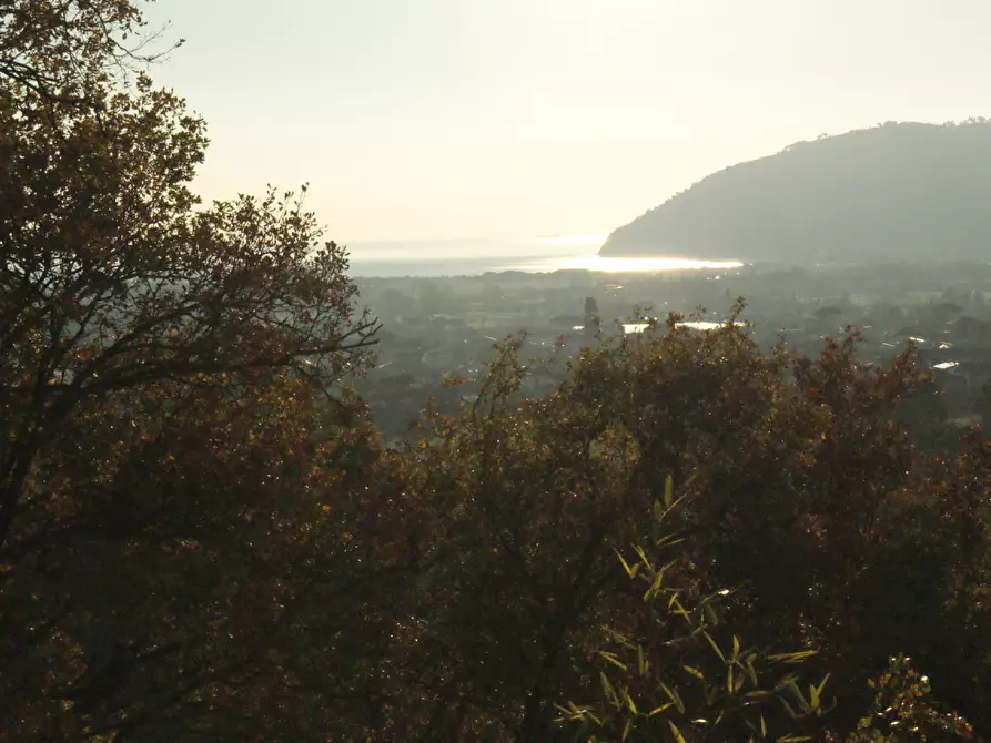 Immagine 46 di Villa in vendita  a Castelnuovo Magra