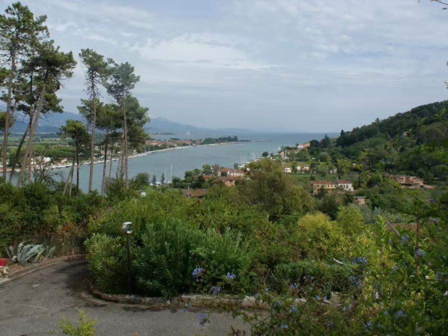 Immagine 25 di Terratetto in vendita  a Ameglia