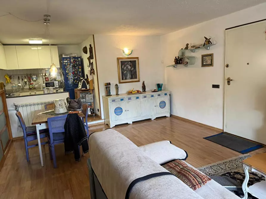 Immagine 4 di Terratetto in vendita  a Arcola