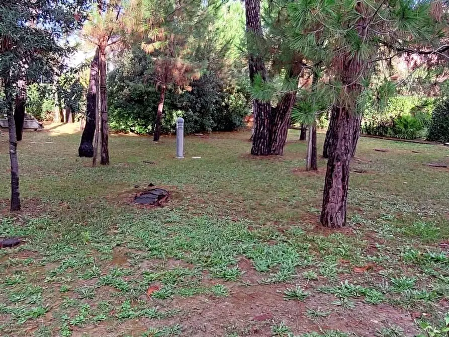 Immagine 38 di Terratetto in vendita  a Massa