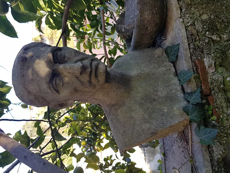 Immagine 60 di Villa in vendita  a Carrara