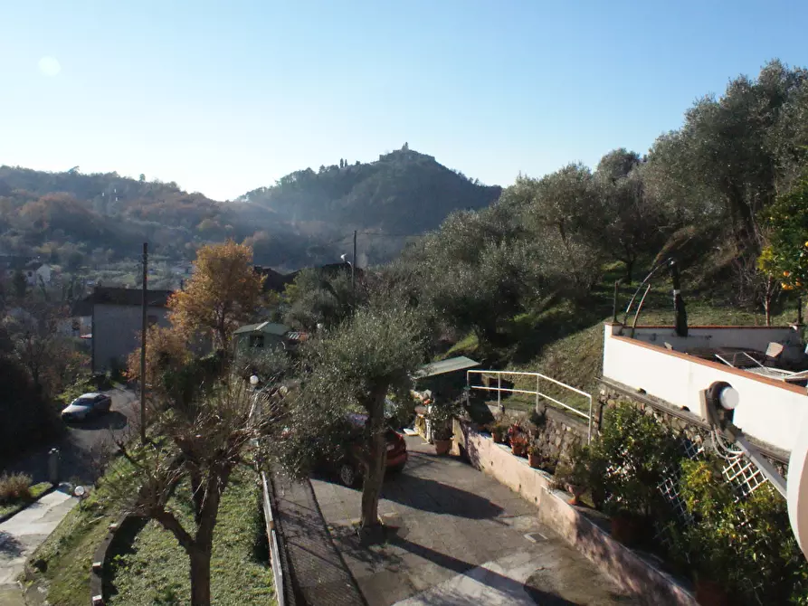 Immagine 10 di Terratetto in vendita  a Ortonovo