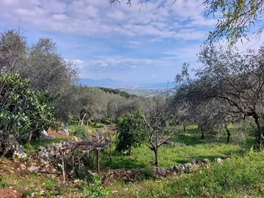 Immagine 8 di Rustico / casale in vendita  a Ameglia