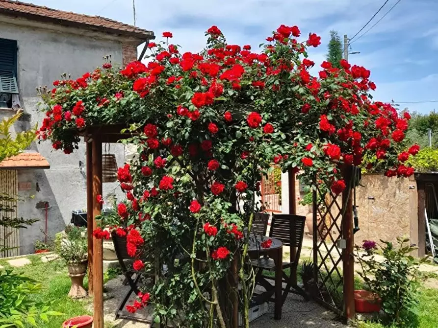 Immagine 29 di Casa indipendente in vendita  a Castelnuovo Magra