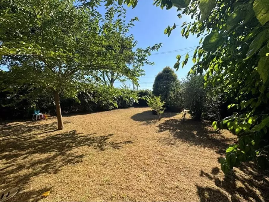 Immagine 37 di Villa in vendita  a Viareggio