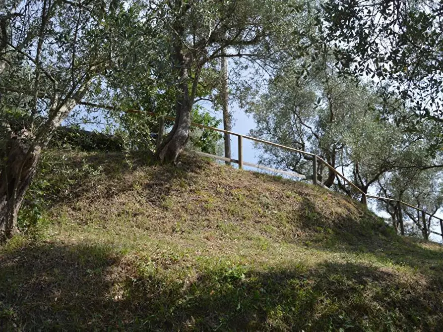 Immagine 25 di Villa in vendita  a Castelnuovo Magra