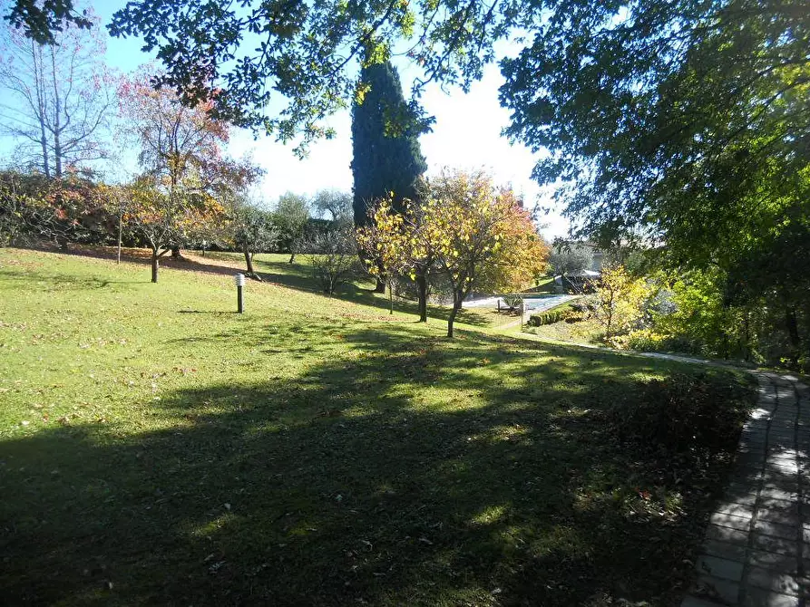 Immagine 5 di Villa in vendita  a Sarzana