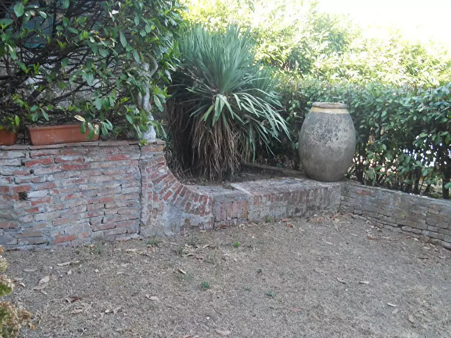 Immagine 71 di Casa colonica in vendita  a Castelnuovo Magra