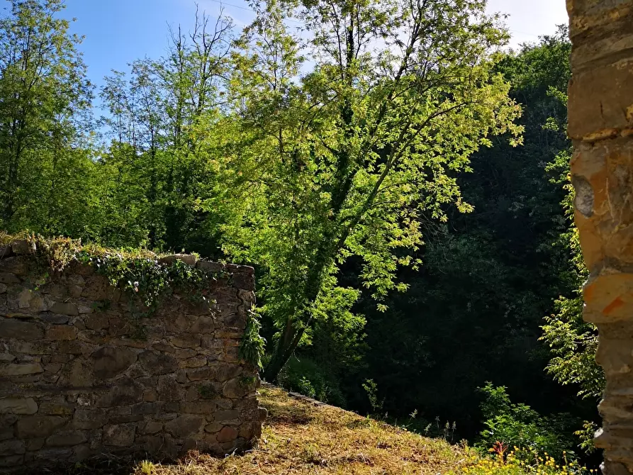 Immagine 37 di Casa colonica in vendita  a Castelnuovo Magra