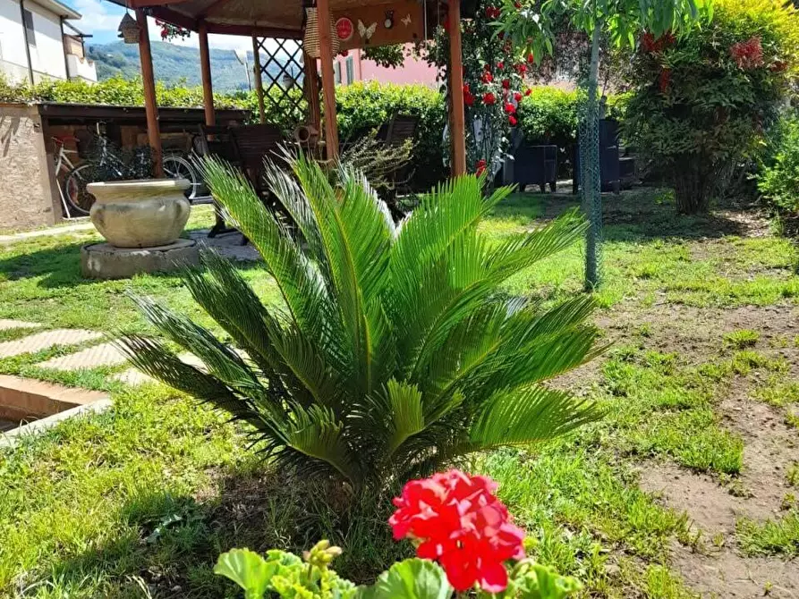 Immagine 32 di Casa indipendente in vendita  a Castelnuovo Magra