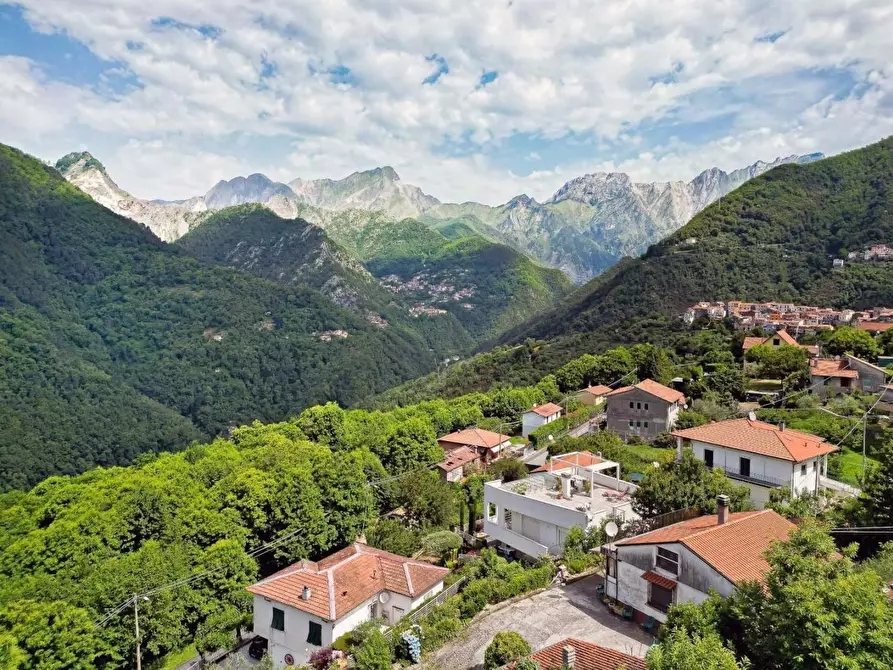 Immagine 12 di Villa in vendita  a Massa