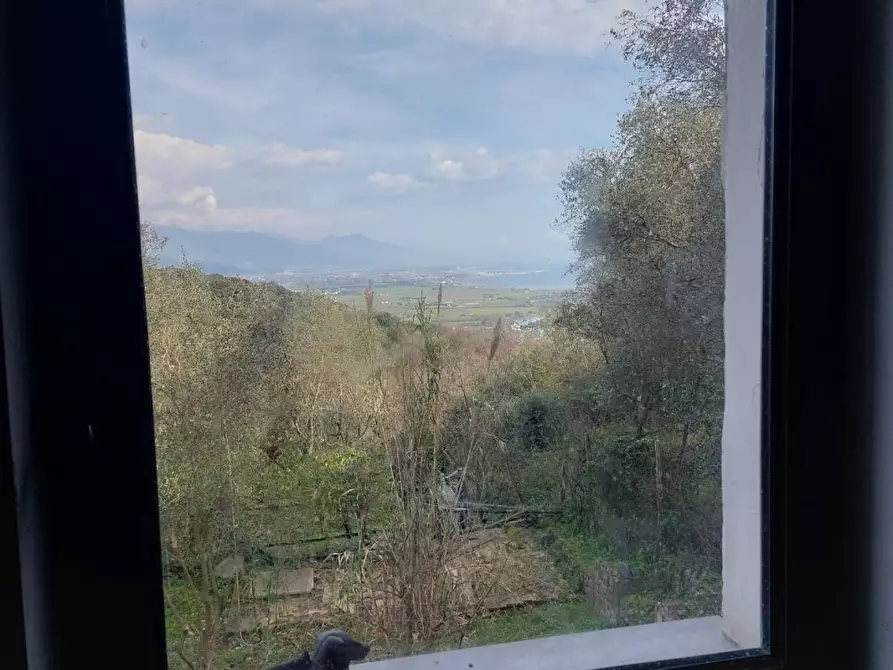 Immagine 5 di Rustico / casale in vendita  a Ameglia
