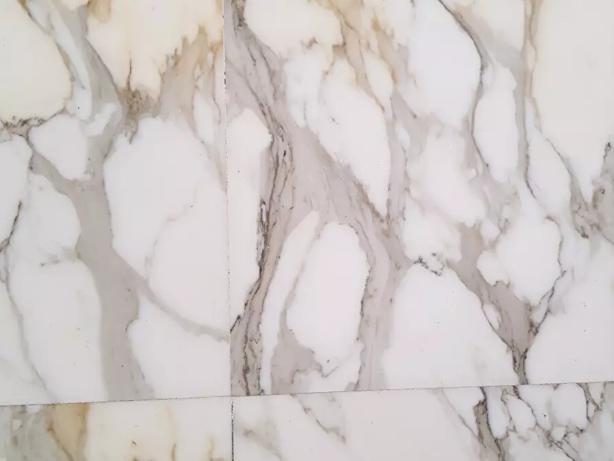 Immagine 49 di Villa in vendita  a Carrara