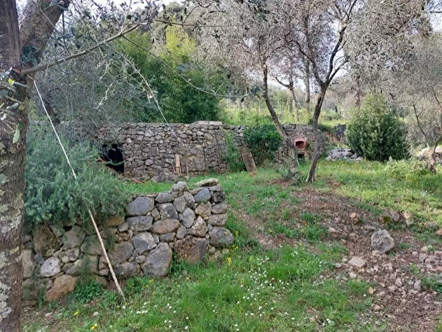 Immagine 13 di Rustico / casale in vendita  a Ameglia